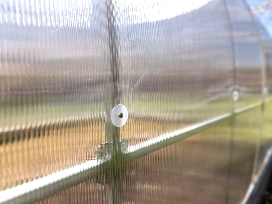 Kasvihuone Quadra Strong 24 m²