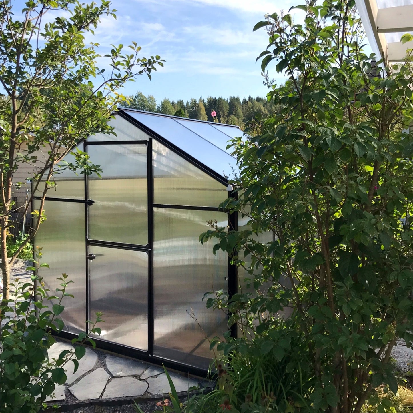 Kasvihuone Sanus L-5 4,8 m² 6 mm kennolevy MUSTA RUNKO