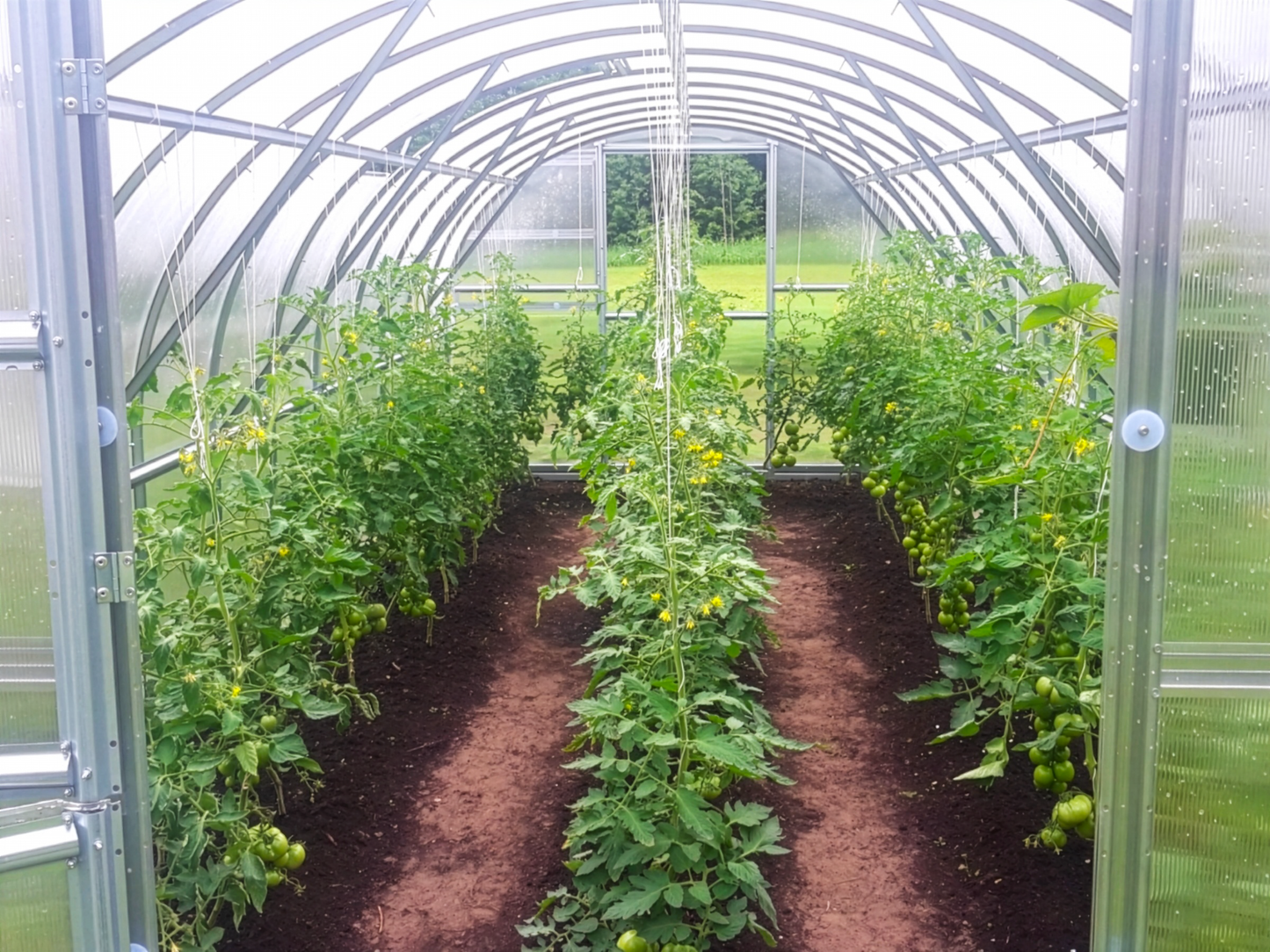 Kasvihuone Omega Light 18 m²