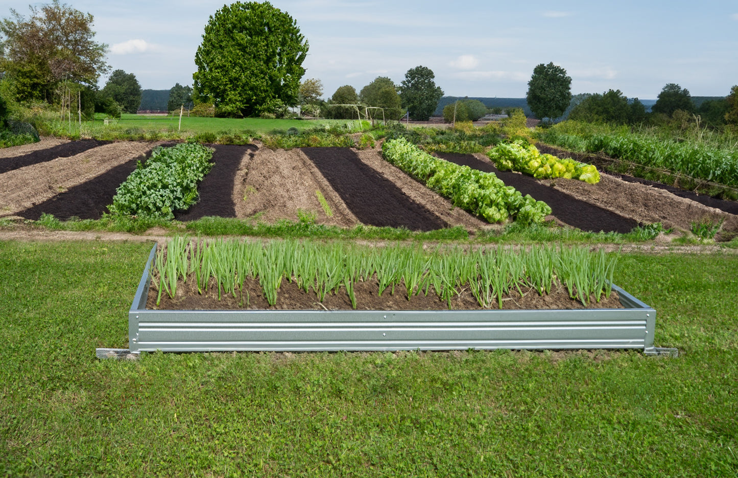 Viljelypenkin reunus PREMIUM LUX 1000x2000x170 mm